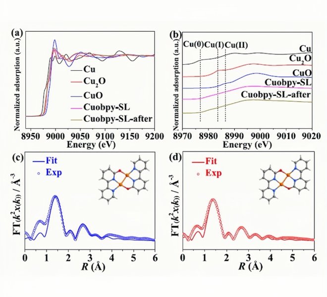 RapidXAFS成果速递：台式XAFS在电催化领域大放异彩