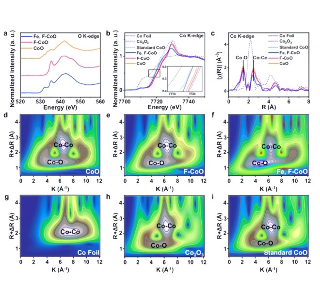 安徽吸收谱RapidXAFS助力电催化剂表征，科研成果发表在《自然·通讯》上