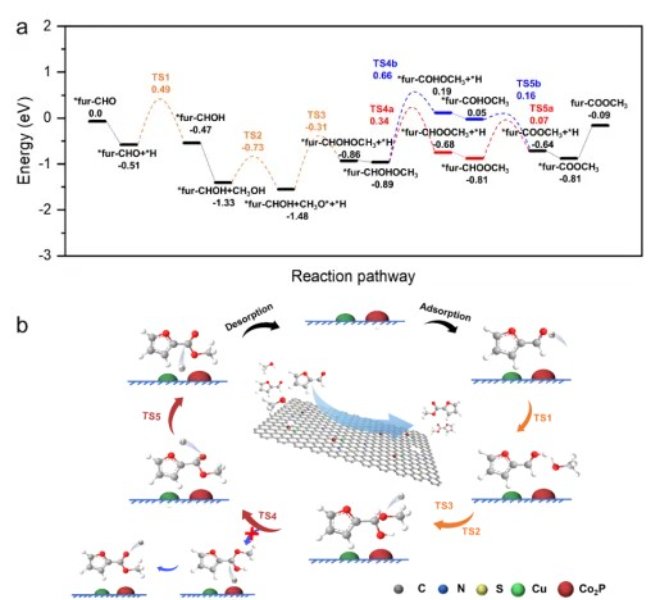 安徽吸收谱RapidXAFS助力热催化剂表征，科研成果发表于《ACS Catalysis》