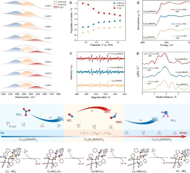 揭示电催化硝酸盐还原中离子化界面水诱导的局部H*富集