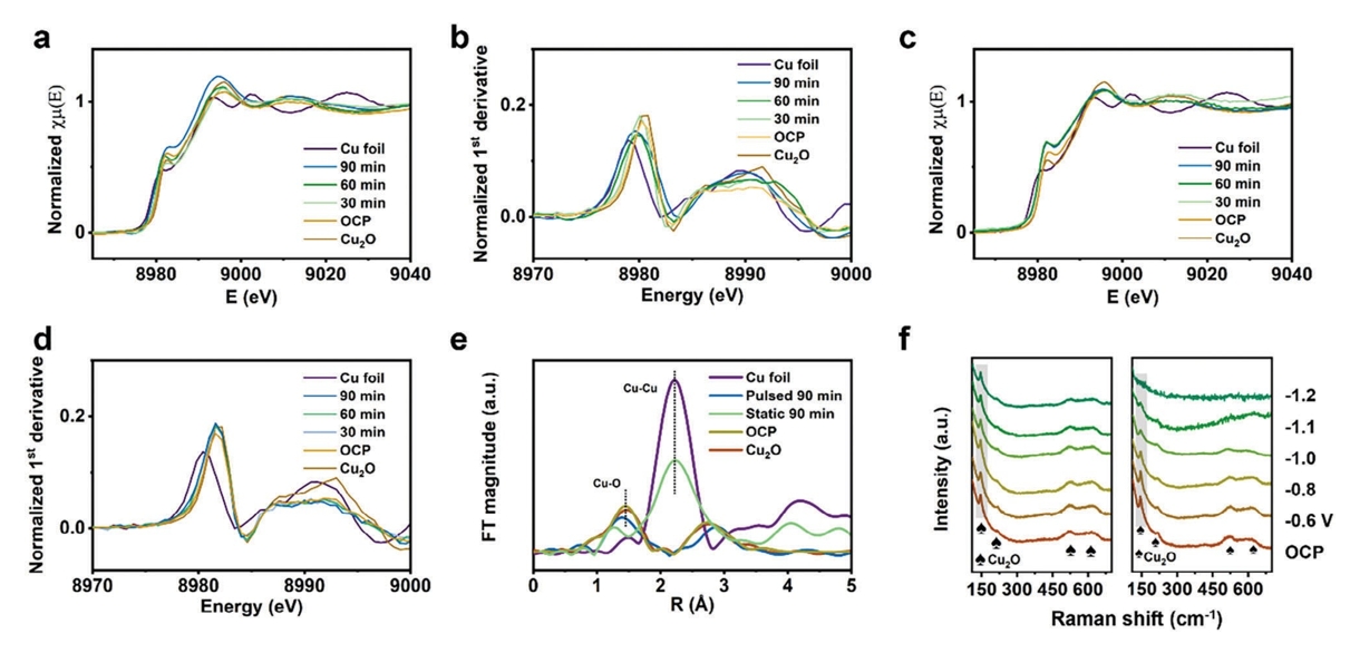 1704680958880416.jpg 1704680770917158.jpg