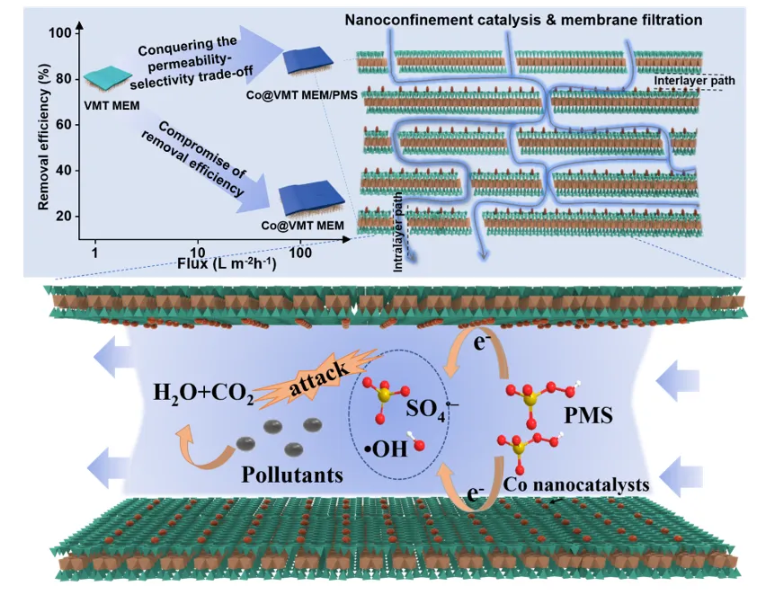 1713239142894999.webp 2.webp