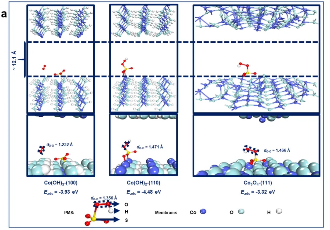 1713239225695533.webp 6.webp