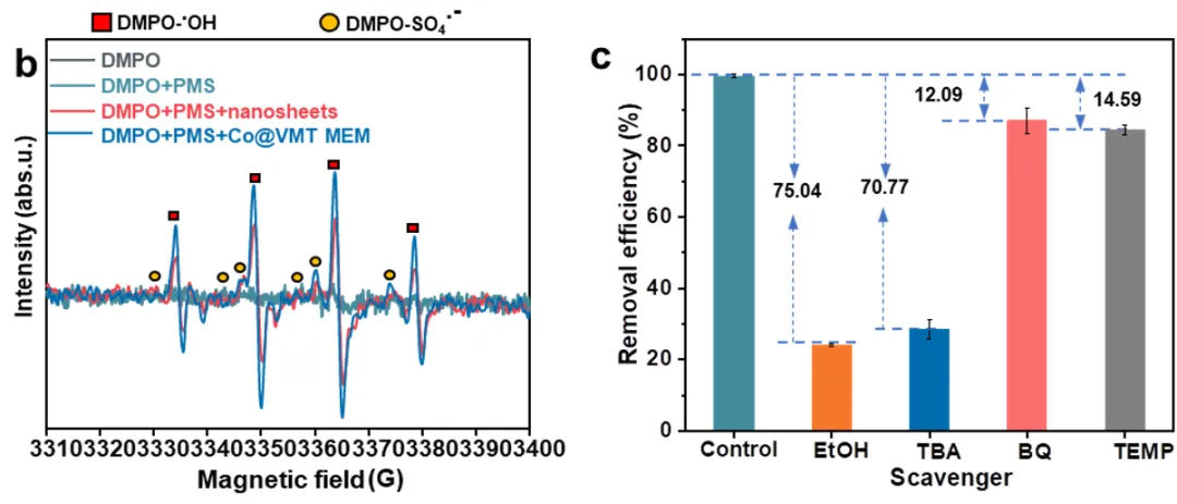 1713239238673865.webp 7.webp