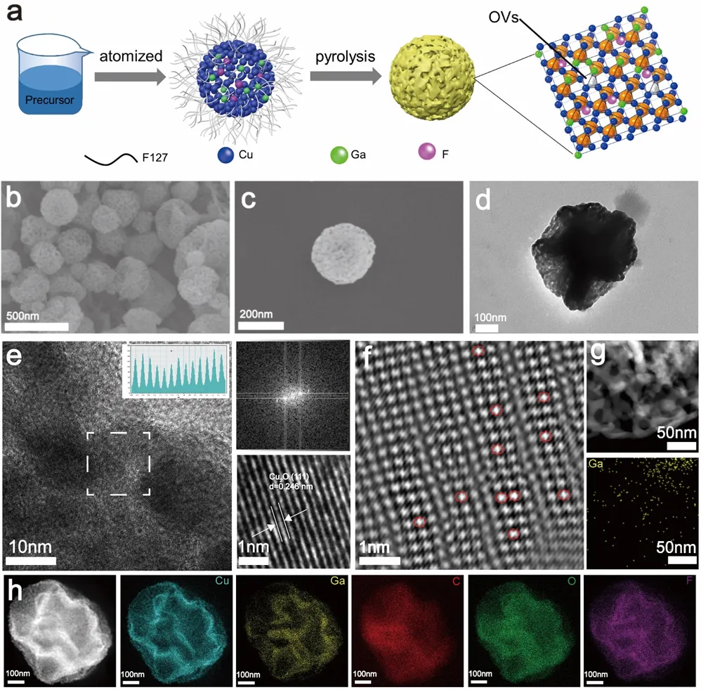 1715650091534140.webp 2.webp