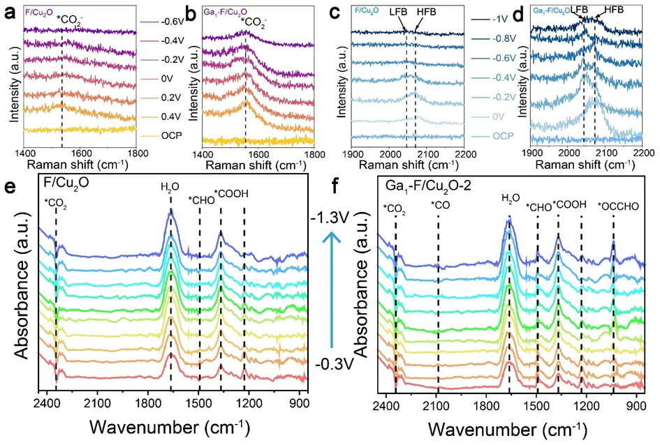 1715650143964173.webp 5.webp