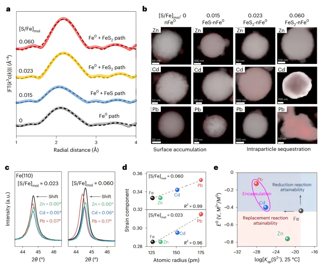1733191452273442.webp 2.webp