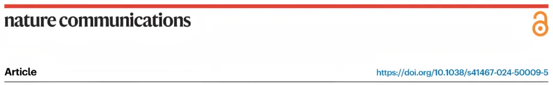 1744335753421892.webp 1.webp