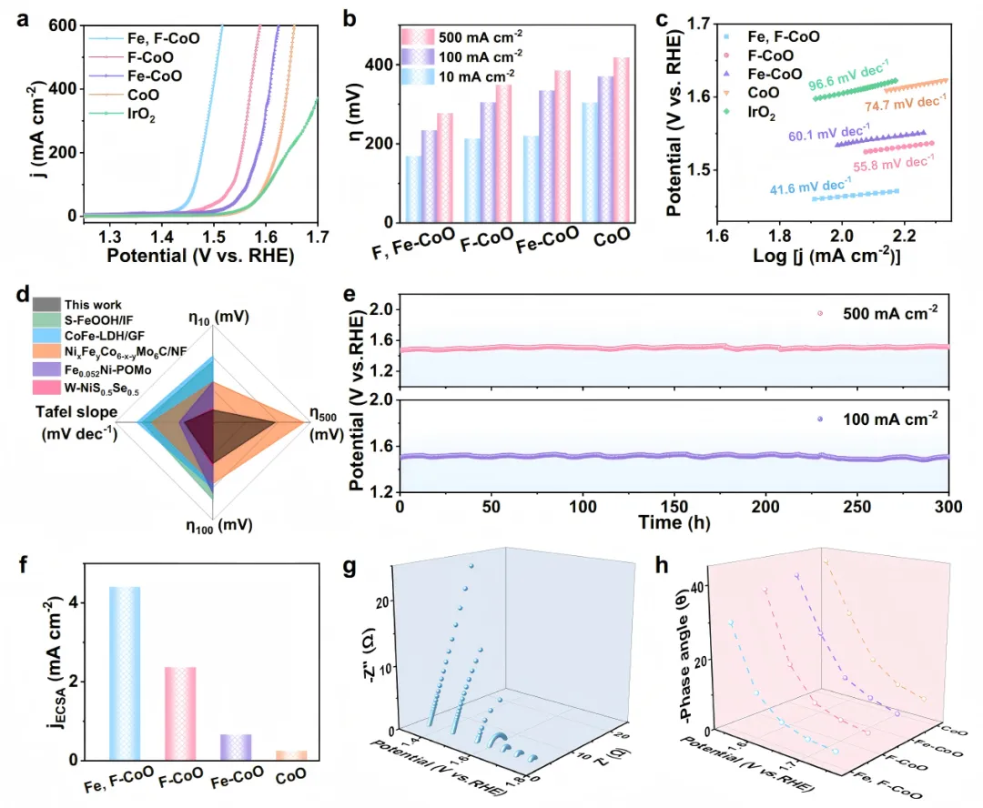 1744335789793926.webp 1.webp