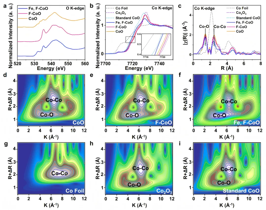 1744335869871574.webp 2.webp