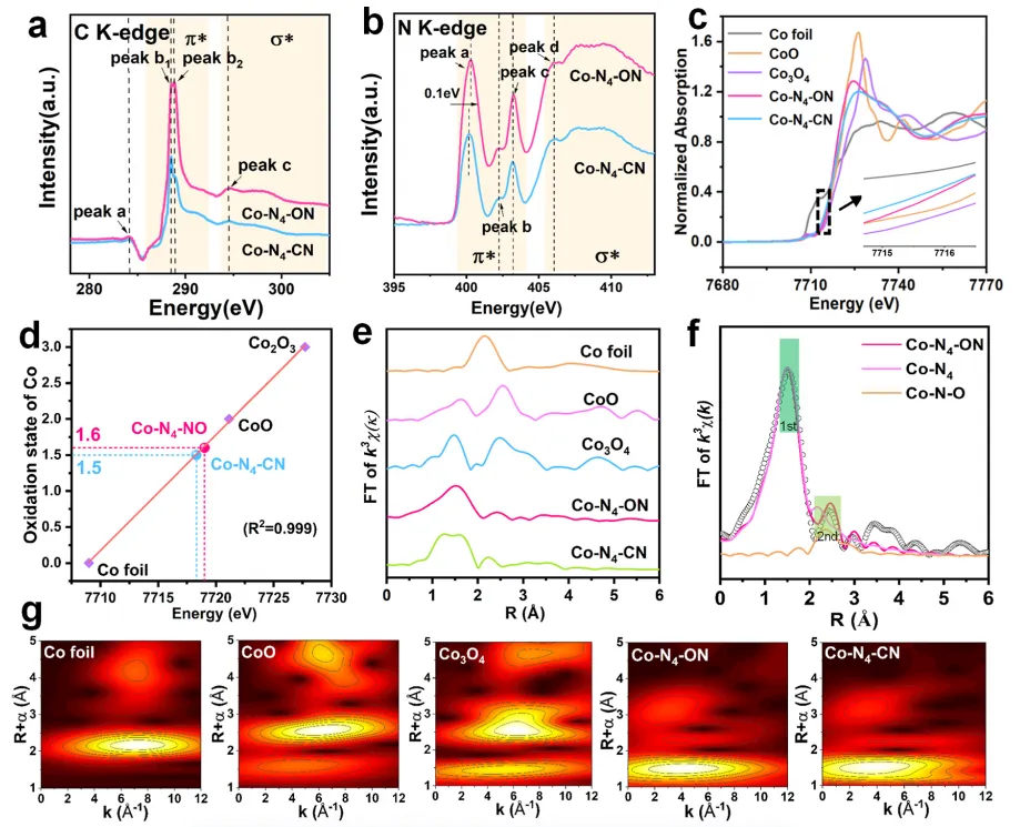 1744363697218018.webp 1.webp