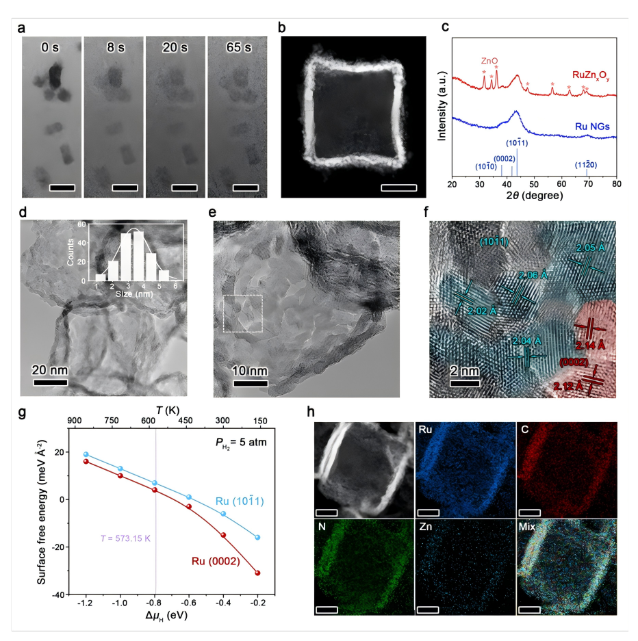 1753866477627611.png 072901.png