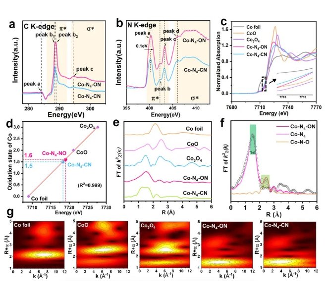 扬州大学学科带头人、研究所所长王小治教授利用RapidXAFS设备表征单位点调控光催化反应