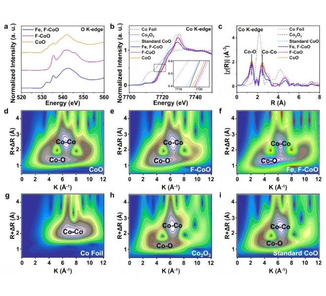 Fe和F共掺杂CoO纳米针阵列增强晶格氧活化和局部电场促进电催化析氧反应