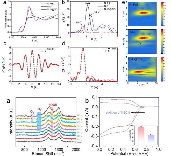 她，师承XAFS大牛/国家杰青韦世强教授，西南科技优秀青年学者李园利利用RapidXAFS表征催化活性位点