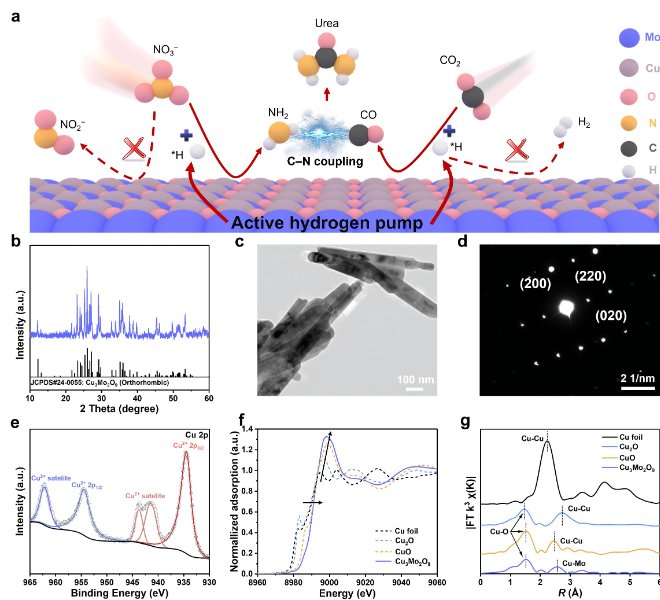 哈工大/中科大/南阳理工联手利用原位RapidXAFS发表angew：“活性氢泵”助力高效尿素电合成