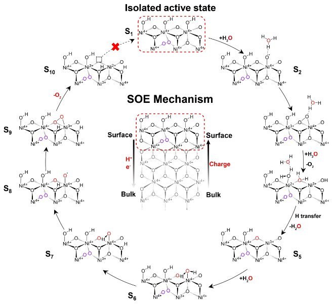 中科院院士!西湖大学孙立成教授团队利用RapidXAFS仪器登顶《Nature Chemistry》:揭秘镍基催化剂自发放氧奥秘