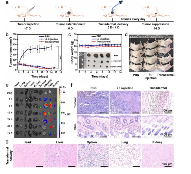 全国三八红旗手、863计划专家！云大柳清菊教授团队最新Nat. Commun.：利用RapidXAFS实现光催化产氢机制精准解析