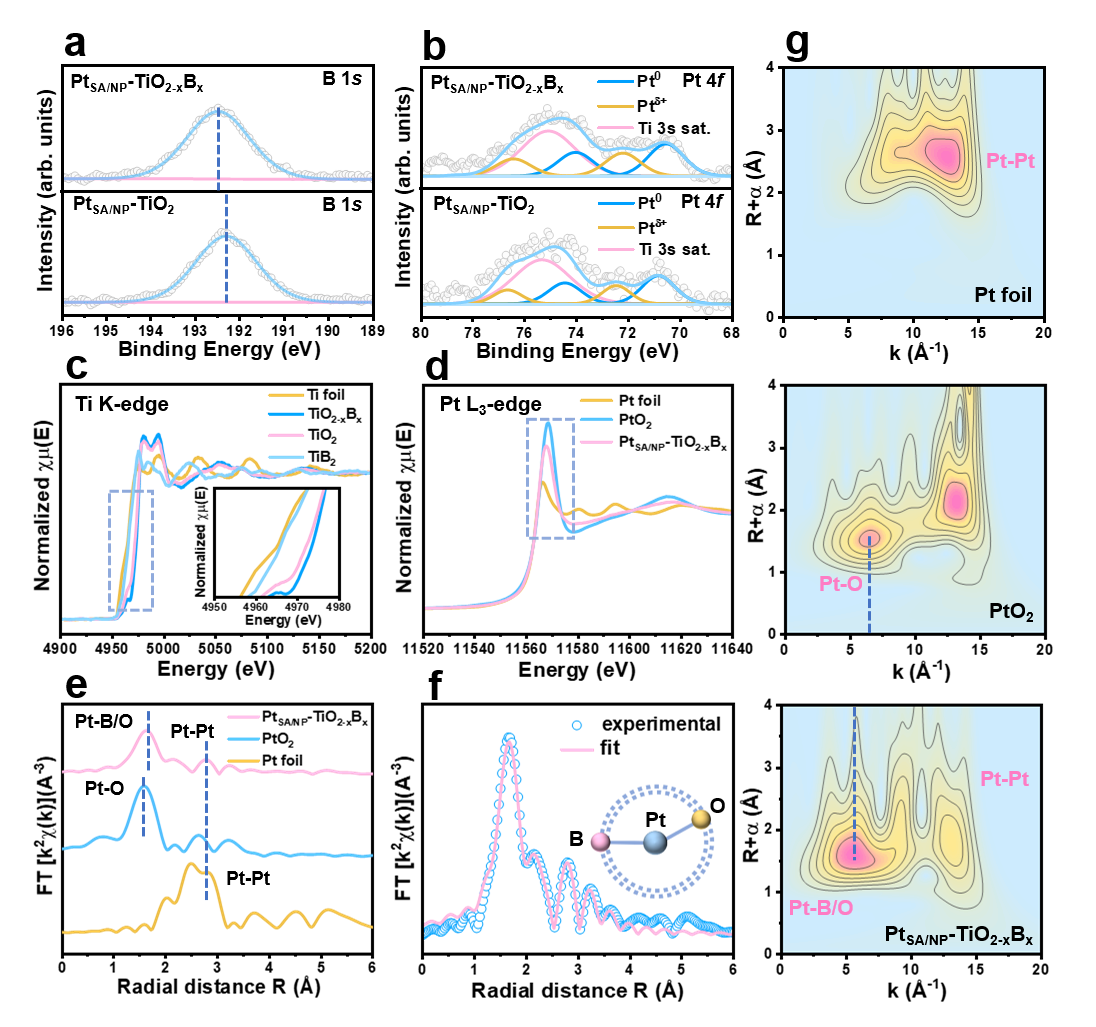 1763017544941204.png image.png