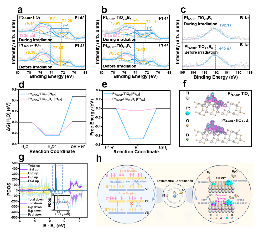 1763017626208955.png image.png